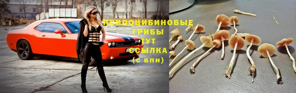 mix Магас