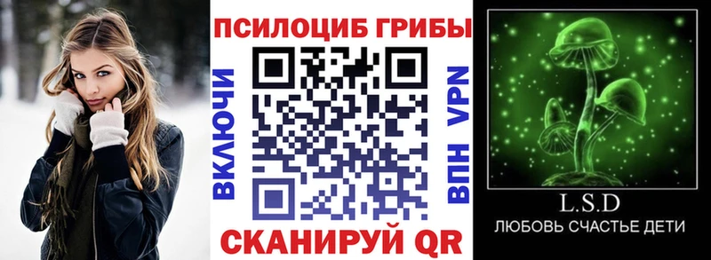 Галлюциногенные грибы Cubensis  Купить где  Амурск 